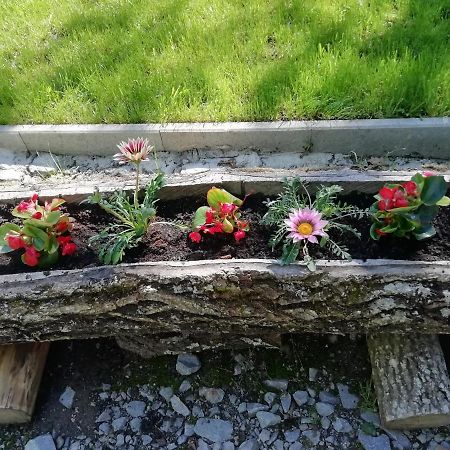 Demeny Vendeghaz Villa Zeteváralja Kültér fotó