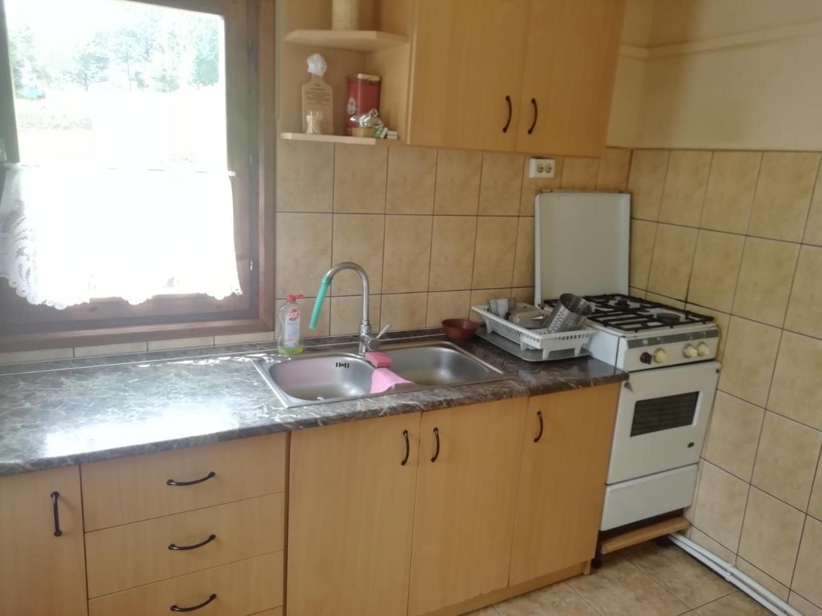 Demeny Vendeghaz Villa Zeteváralja Kültér fotó