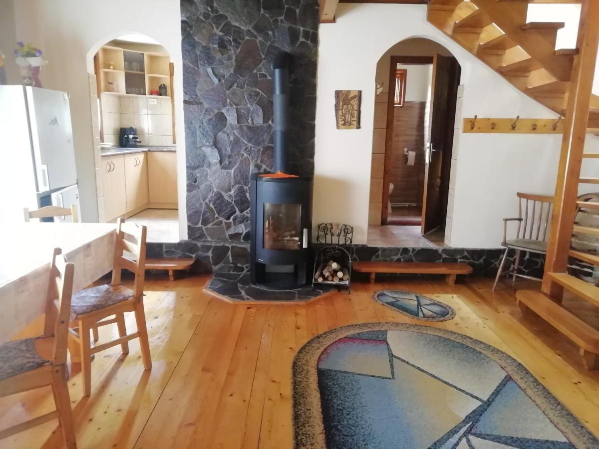 Demeny Vendeghaz Villa Zeteváralja Kültér fotó